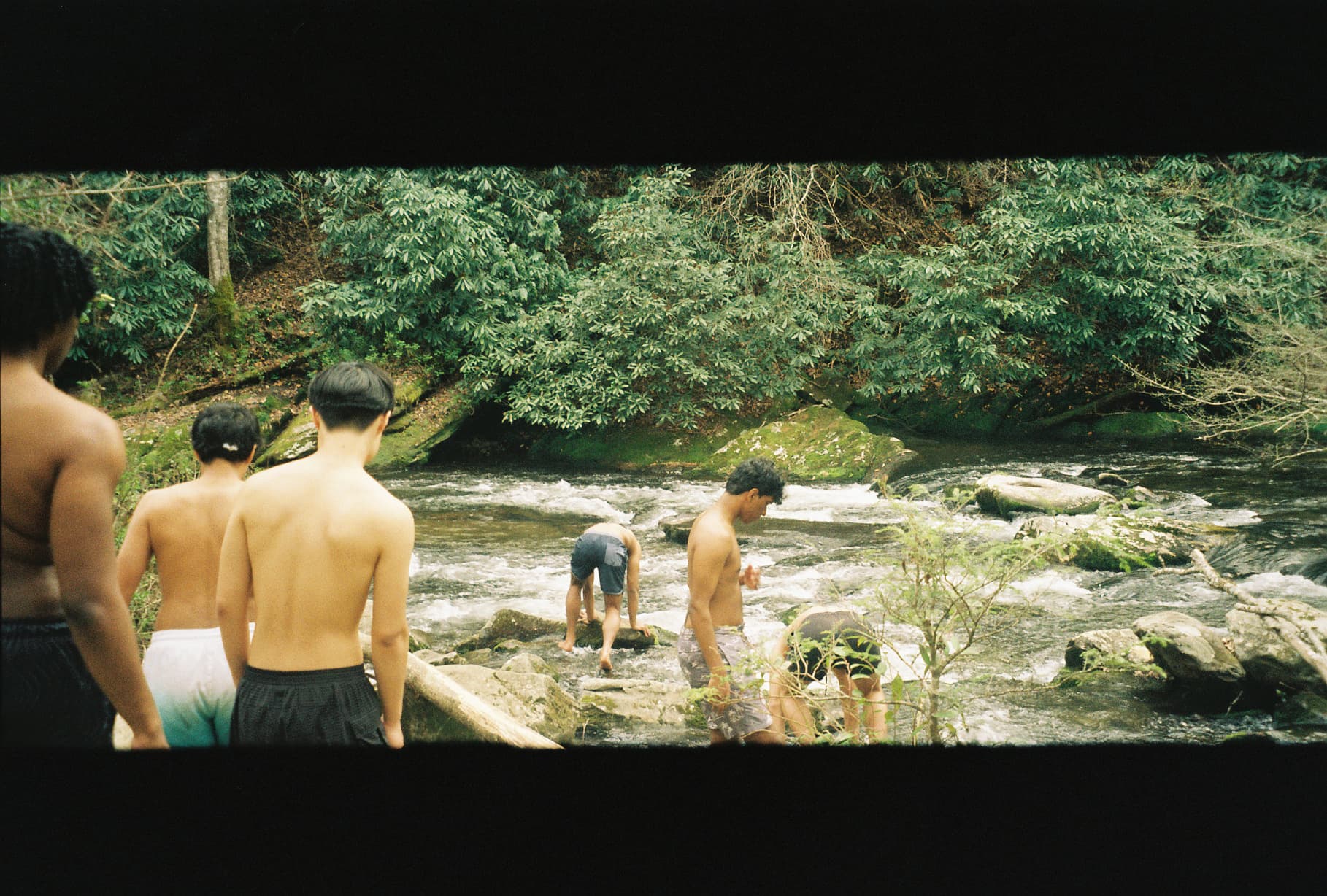 Film photo 2