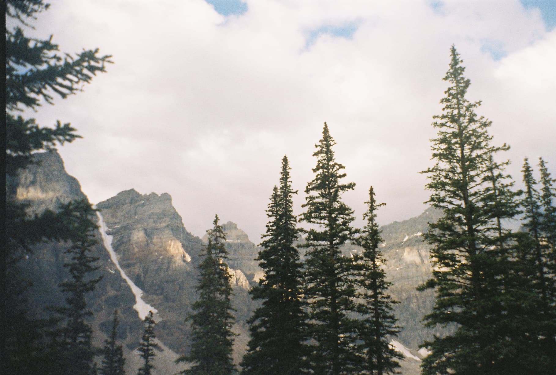 Film photo 15