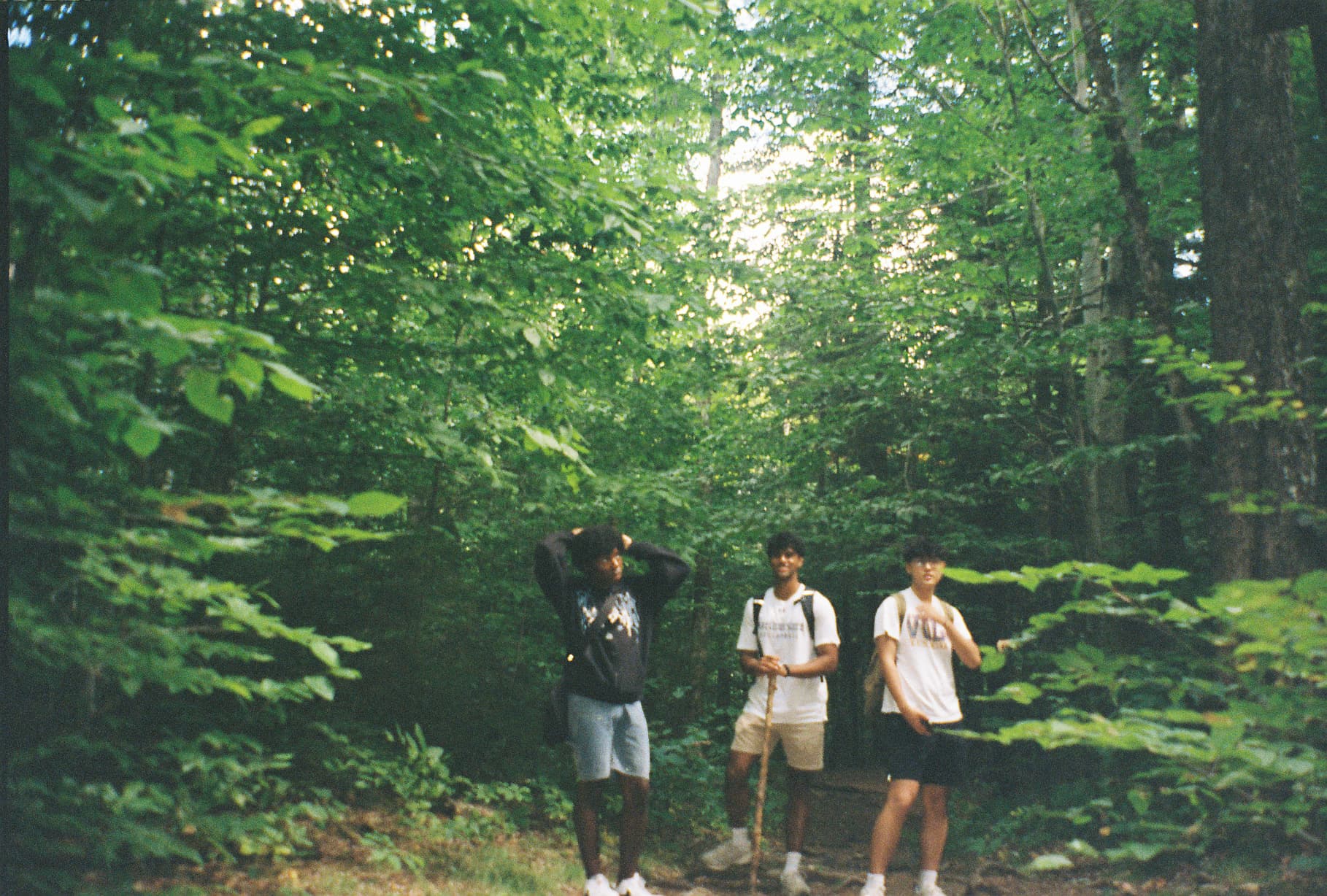 Film photo 13