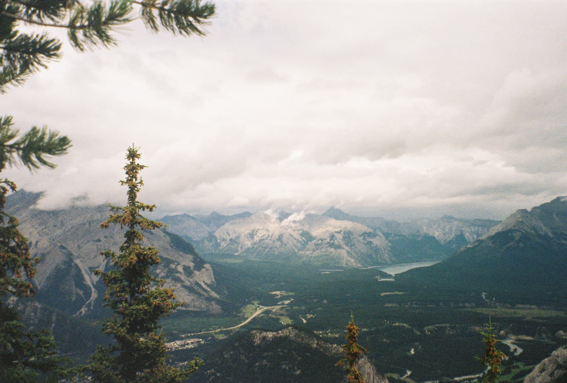 Film photo 18