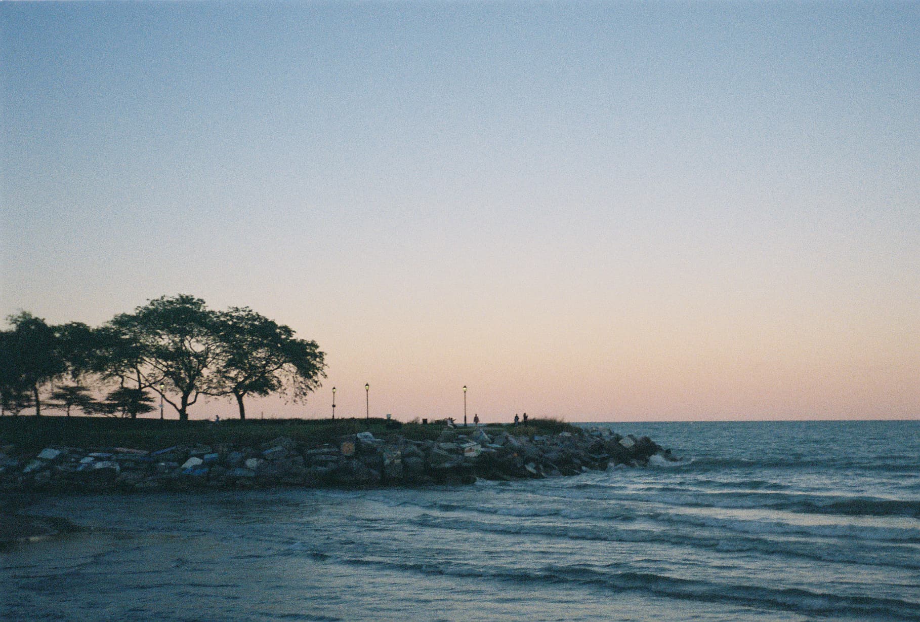 Film photo 10